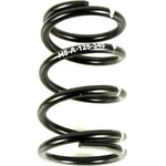 Speedwerx White Alloy Drive Clutch Spring CCH5-A-125-340. Fixed Price $54.95.