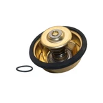 Volvo Penta AQ125 - AQ131 AQ140 AQ145 AQ151 & AQ171 Thermostat Repl 875580. Fixed Price $22.99.