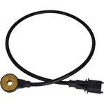 Detonation Knock Sensor 2410369 Fit For Polaris 2019-2024 Snowmobile Rzr Turbo. Fixed Price $32.99.