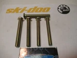 Ski-doo /sea-doo/brp 250000151 Hex Screw O.e.m. N.o.s. Qty. Fixed Price $11.99.