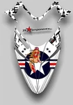 Polaris Iq Rmk Shift Dragon Graphics Decal Sticker Kit 05-12 Aircraft Pinup Hood. Fixed Price $72.46.