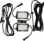 Brite-lites BL-RGBROCK2.2. Fixed Price $56.95.