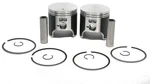 Polaris Pro-x 550, 2004, Std Bore Pistons Pair. Fixed Price $109.99.