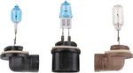 Bluhm Enterprises Brite Lites Headlight Bulb Xenon Blue Watt BL-13B502. Fixed Price $38.99.